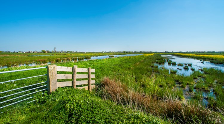 boerenlandschap-bethunepolder